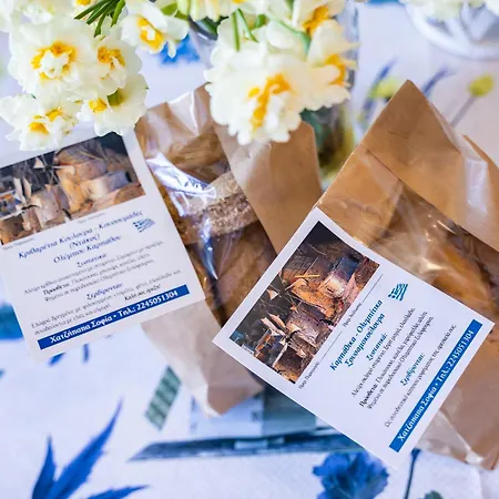 Sofiamikehouse 2 Olympos (Karpathos)